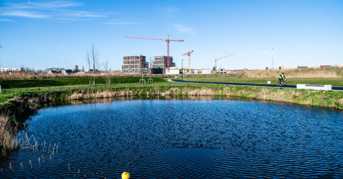 Sustainable water management | water collection and recycling | ION